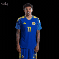 Fifa World Cup Curacao GIF by Respective
