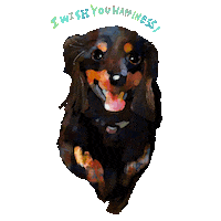Happy Feliz Sticker