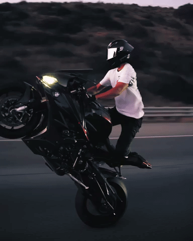 Interspacemonkey ae lasvegas interspacemonkey s1000 GIF