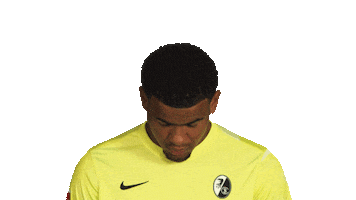 Scf Sticker by Bundesliga