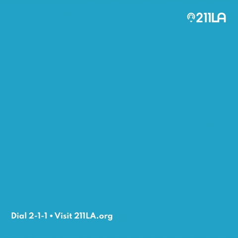211LA giphyupload GIF