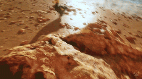Beach Examine GIF by Xbox