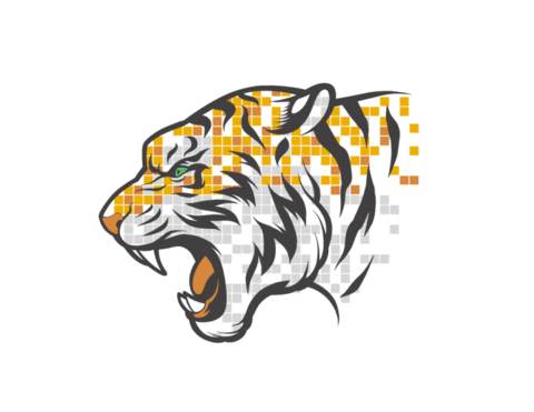 Colorado Springs Smile Sticker by Johnson Orthodontics