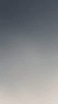 Catbug GIF by Youtooz