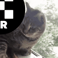 Go Away GIF by OKX TR