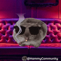 Sunglasses Smoking GIF by Sad Hamster