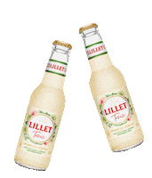 Ready To Drink Summer Sticker by lilletofficial