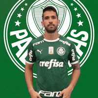 Palmeiras soccer futebol vamos bora GIF