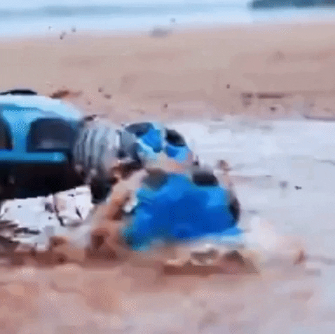 Blissdom giphygifmaker bliss blissdom luxe for less GIF