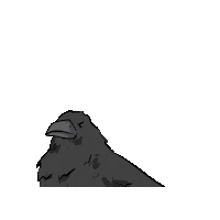 Angryraven Sticker by RAVENTrust