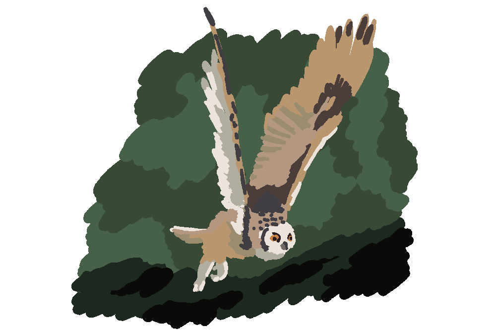 grand duc Sticker by Marc Lariviere