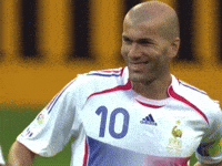 Zidane GIF