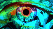 Eye Pamela Chougne GIF