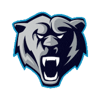 DieBaeren2016 hockey eishockey neuwied ehc neuwied Sticker