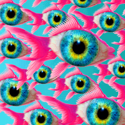 fish eye GIF by Adult Swim