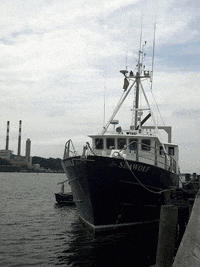 SoMASSBU stony brook university seawolf oceanography somas GIF