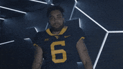 College Football GIF by WVU Sports