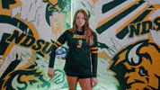 Volleyball Bison GIF by NDSU Athletics