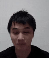 Kingdom No GIF