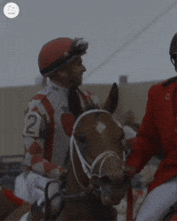 Preakness GIF by World Horse Racing