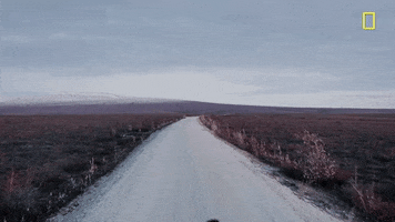 Episode 1 Riding GIF by National Geographic Channel