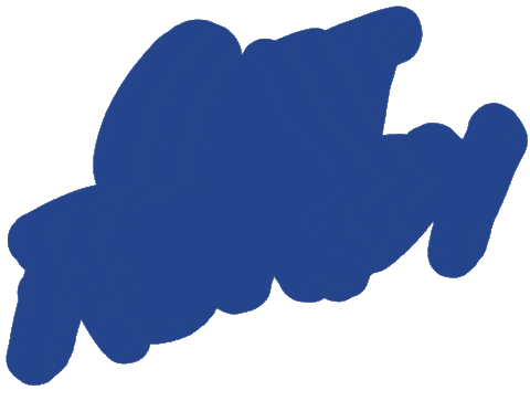 Colorowdies giphyupload rowdy get rowdy rowdies Sticker