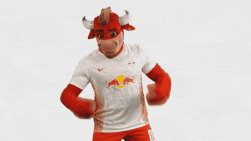 Lets Go Football GIF by RB Leipzig