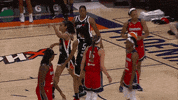 Phoenix Mercury Sport GIF by WNBA