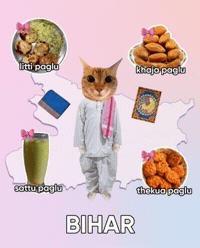 Cat Meme Bihar GIF