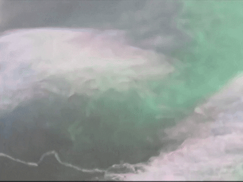 Footage Oaf GIF by jorgemariozuleta