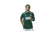 Thanks Robin Sticker by VfB Lübeck
