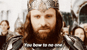 The Lord Of The Rings King GIF