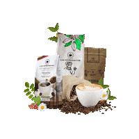 Latte Art Coffee Lovers Sticker by Cafe las Margaritas