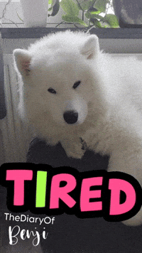 Tired Moe GIF