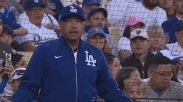 Yelling Los Angeles Dodgers GIF by MLB
