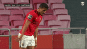 Angry Sl Benfica GIF by Sport Lisboa e Benfica