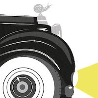 pianpianii car drive snail caracol Sticker