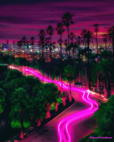 Pipercreations Citylights Palmtrees Pinkneon Tropical Warm Summer GIF