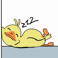 Wakey Wakey GIF