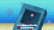 episode 1 whirly brains GIF by SpongeBob SquarePants