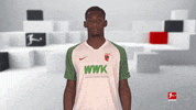 Fc Augsburg Football GIF by Bundesliga