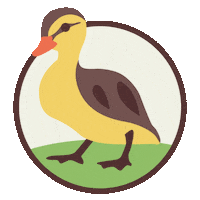 22StreetLane ducklings 22 street lane nursery logo 22sln logo 22 street lane nursery branding Sticker