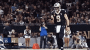 2018 Nfl Football GIF by NFL