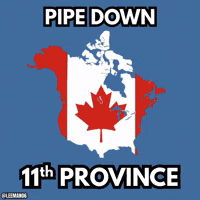 United States Hockey GIF