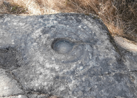 aurorarendopampn giphygifmaker GIF