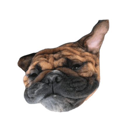 formhouston lagreehouston Sticker by The Studio FORM