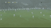 GIF by Giffffr