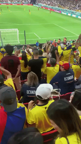 Ecuadorian Fans Chant 'We Want Beer' During World Cup Opener