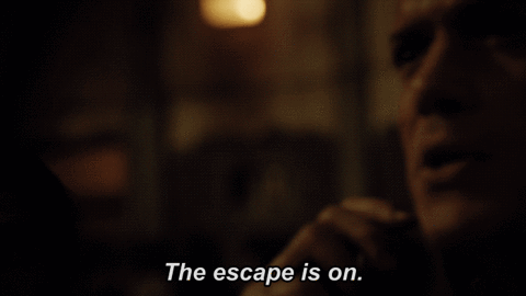 fox GIF by Prison Break