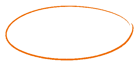Circle Sticker